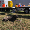 2022-Atronomy Campout